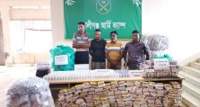 সাতক্ষীরায় পাতা বিড়ি, ওষুধ সহ ৫০ লক্ষ টাকার ভারতীয় মালামাল জব্দ