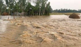 চেল্লাখালী নদীর বাঁধ ভেঙে নিম্নাঞ্চলে ঢুকছে পাহাড়ি ঢলের পানি