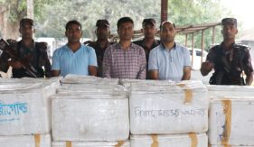 যশোরে বিজিবির অভিযানে বিষাক্ত জেলি পুশ করা ১১ লাখ টাকার চিংড়ি মাছ জব্দ