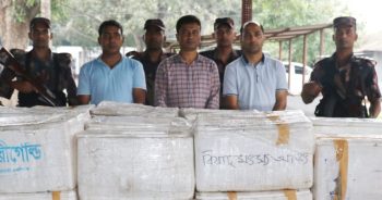 যশোরে বিজিবির অভিযানে বিষাক্ত জেলি পুশ করা ১১ লাখ টাকার চিংড়ি মাছ জব্দ