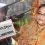 শেখ হাসিনা, ওবায়দুল কাদের ও হাছান মাহমুদের ফোনালাপ ট্রাইব্যুনালে দাখিল