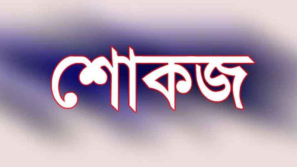 নোয়াখালীতে সরকারি গাছ কাটার অভিযোগে যুবদল নেতাকে শোকজ