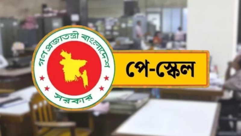 পে-স্কেল চালু হলেও আগের হারেই ভাতা পাবেন সরকারি চাকরিজীবীরা