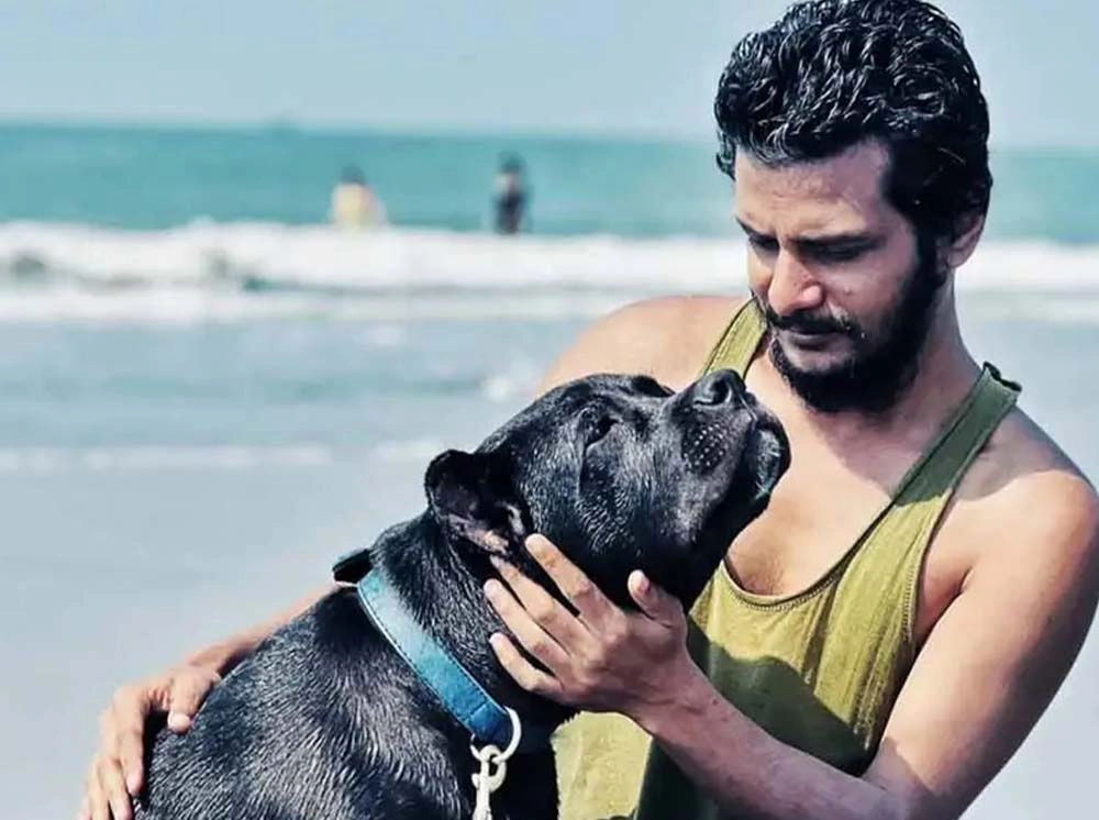 পর্যটকদের ফেলে মালিকের পোষা কুকুর-বিড়াল উদ্ধারে ব্যস্ত ছিলেন টুপটুপ রিসোর্টকর্মীরা