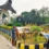 রঙের ছোঁয়ায় সাজছে সড়ক, প্রধানমন্ত্রীকে বরণে প্রস্তুত রাজশাহী
