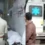 মন্দিরে যাওয়ার পথে ট্রাক চাপায় প্রাণ গেল ১২ জনের, দুই পুলিশসহ আহত অনেকে