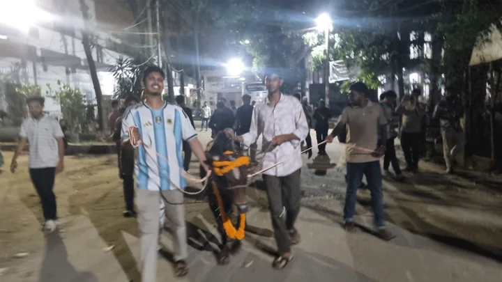 পশু জবাইয়ে নিষেধাজ্ঞার প্রতিবাদে জবিতে গরু নিয়ে শিক্ষার্থীদের মিছিল